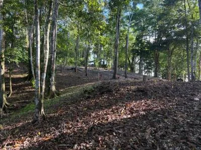 Tres Lotes con Título de Propiedad en las Montañas de Punta Uva, photo 2