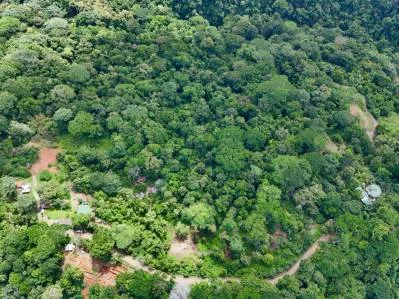 La Unión Road Investment Opportunity - 2.2 Acres with Existing Teak Cabin & River Access, photo 2