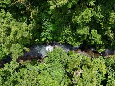 La Unión Road Investment Opportunity - 2.2 Acres with Existing Teak Cabin & River Access, photo 4