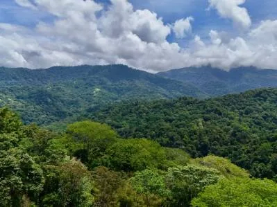 La Unión Road Investment Opportunity - 2.2 Acres with Existing Teak Cabin & River Access, photo 5