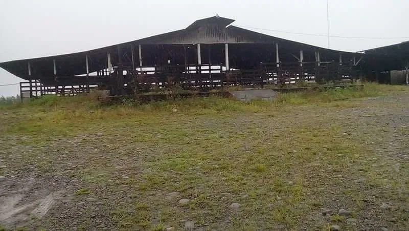 Livestock farm for sale and palm oil, 331 acres