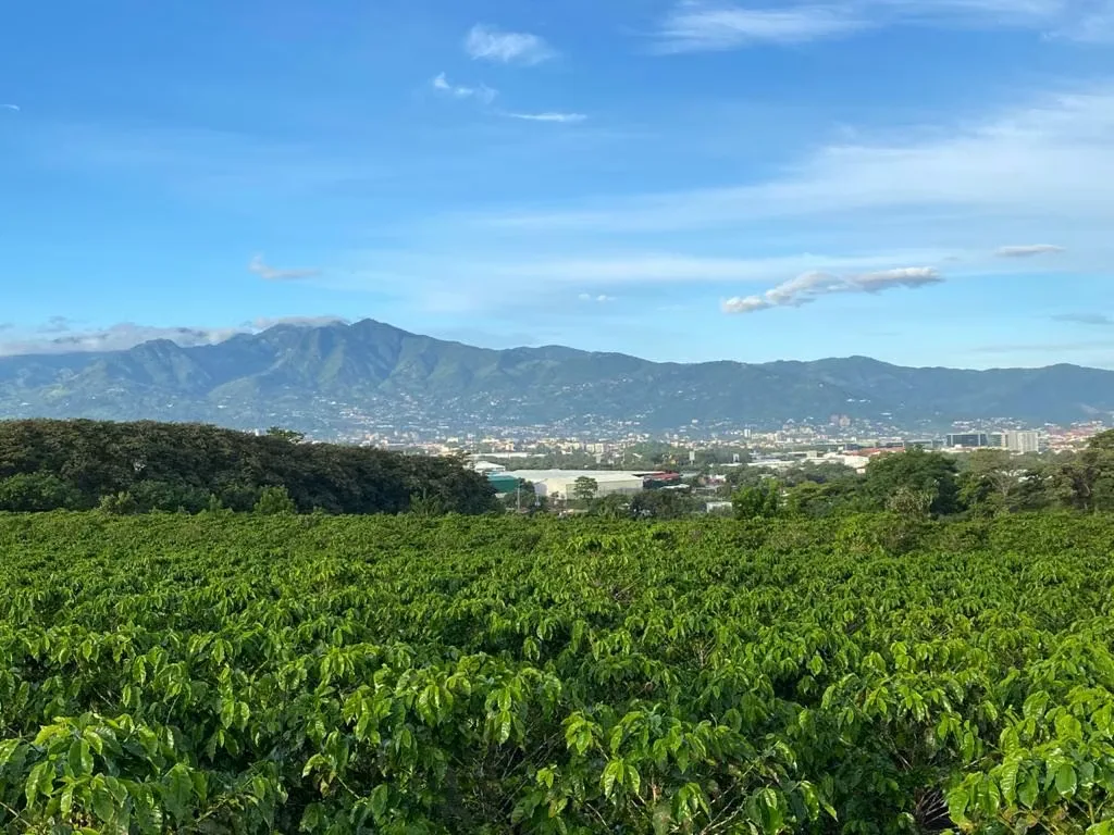 Land for Real Estate Development for Sale | 6 Hectares | San Pablo, Heredia