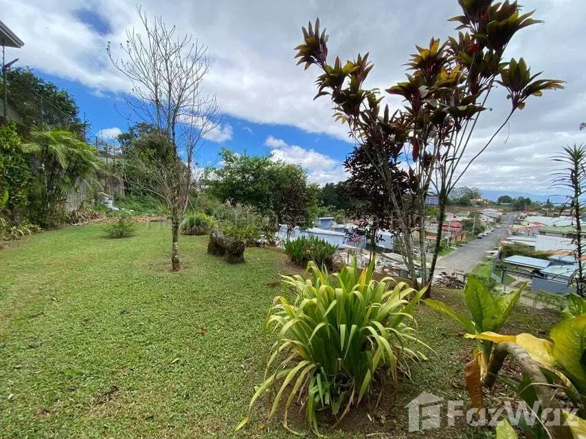 Land for Sale at Montes de Oca for $145,000, photo 6
