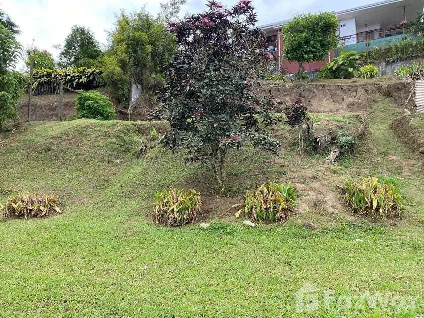 Land for Sale at Montes de Oca for $145,000, photo 8