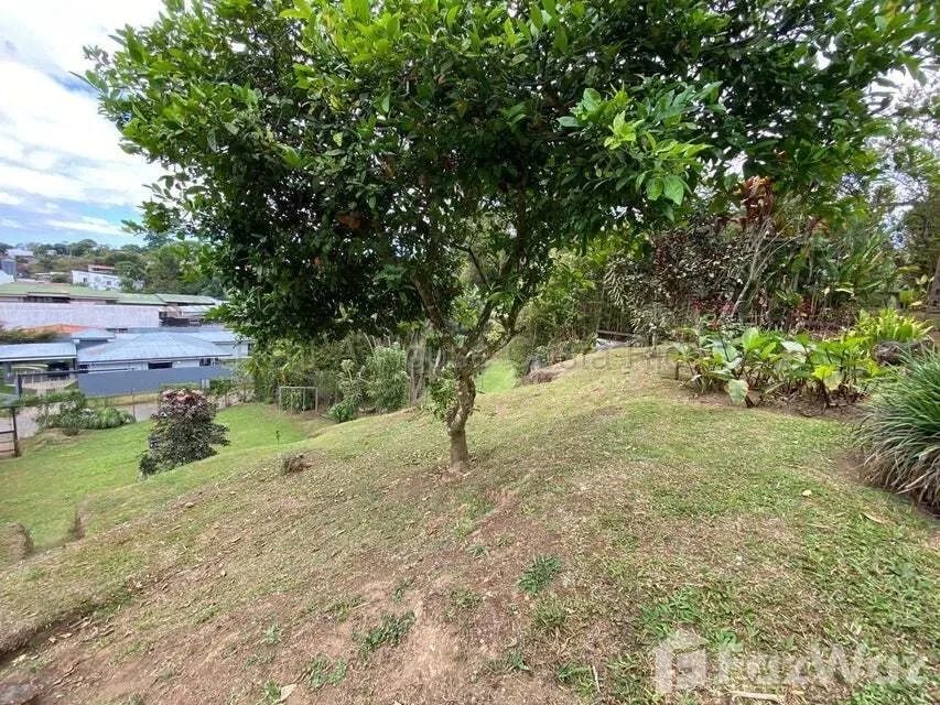 Land for Sale at Montes de Oca for $145,000, photo 10