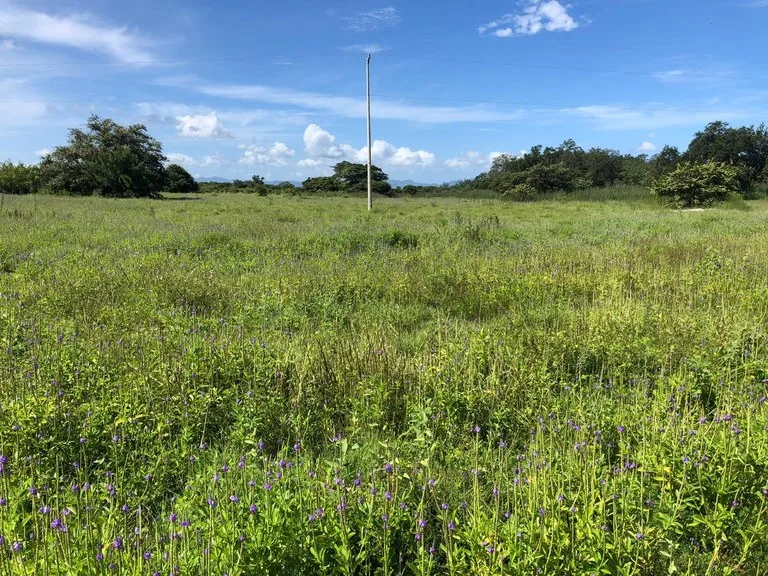 Development Parcel in Liberia