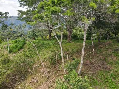 SERENE 5.5-ACRE ESTATE WITH BREATHTAKING VIEWS IN “THE SANCTUARY”, photo 31