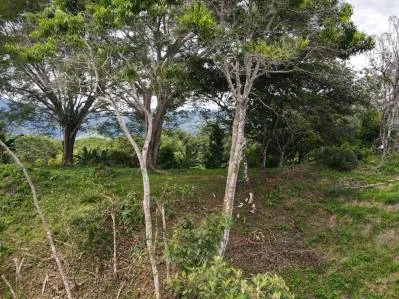 SERENE 5.5-ACRE ESTATE WITH BREATHTAKING VIEWS IN “THE SANCTUARY”, photo 32