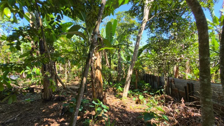 CASA DE 3 HABITACIONES EN AMPLIO LOTE DE 1.158 M2 EN PAVONES, PEREZ ZELEDON - Venta en Pérez Zeledón, photo 5