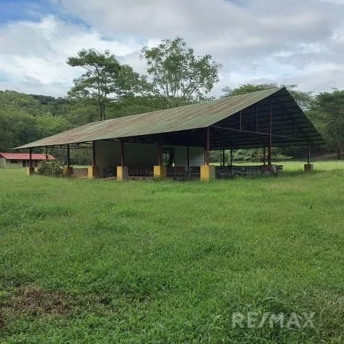 Turrubares Development Parcel - RE/MAX Tierra de Oro, photo 2