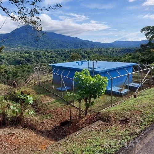 Turrubares Development Parcel - RE/MAX Tierra de Oro, photo 11