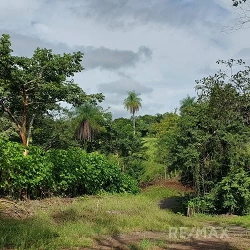Turrubares Development Parcel - RE/MAX Tierra de Oro, photo 14