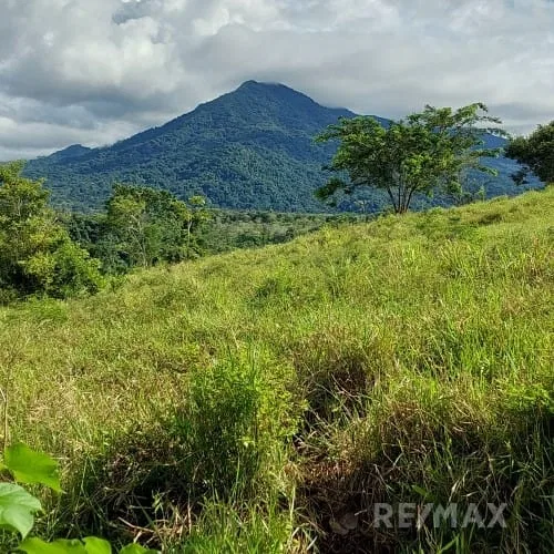 Turrubares Development Parcel - RE/MAX Tierra de Oro, photo 16