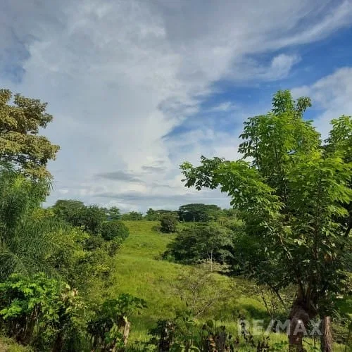 Turrubares Development Parcel - RE/MAX Tierra de Oro, photo 17