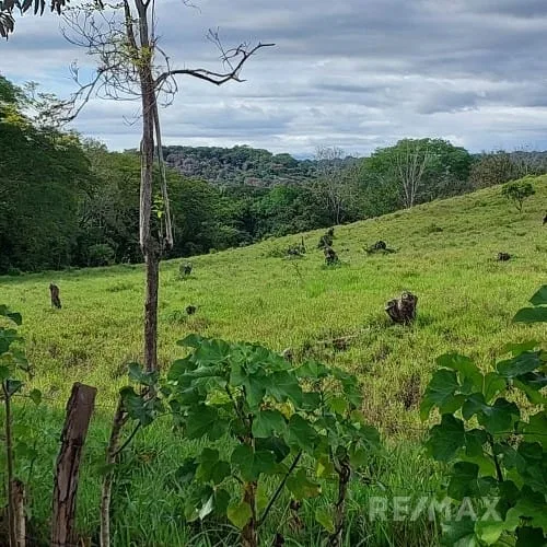 Turrubares Development Parcel - RE/MAX Tierra de Oro, photo 18