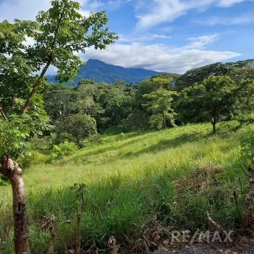 Turrubares Development Parcel - RE/MAX Tierra de Oro, photo 7