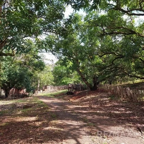 Turrubares Development Parcel - RE/MAX Tierra de Oro, photo 8