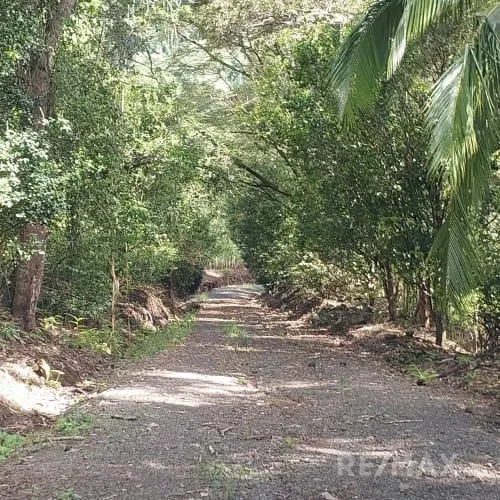 Turrubares Development Parcel - RE/MAX Tierra de Oro, photo 9