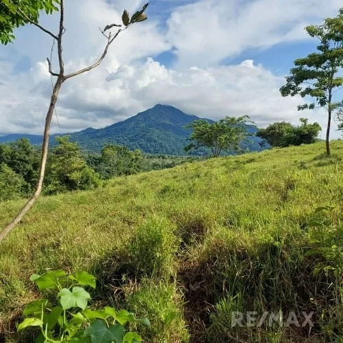 Turrubares Development Parcel - RE/MAX Tierra de Oro, photo 10