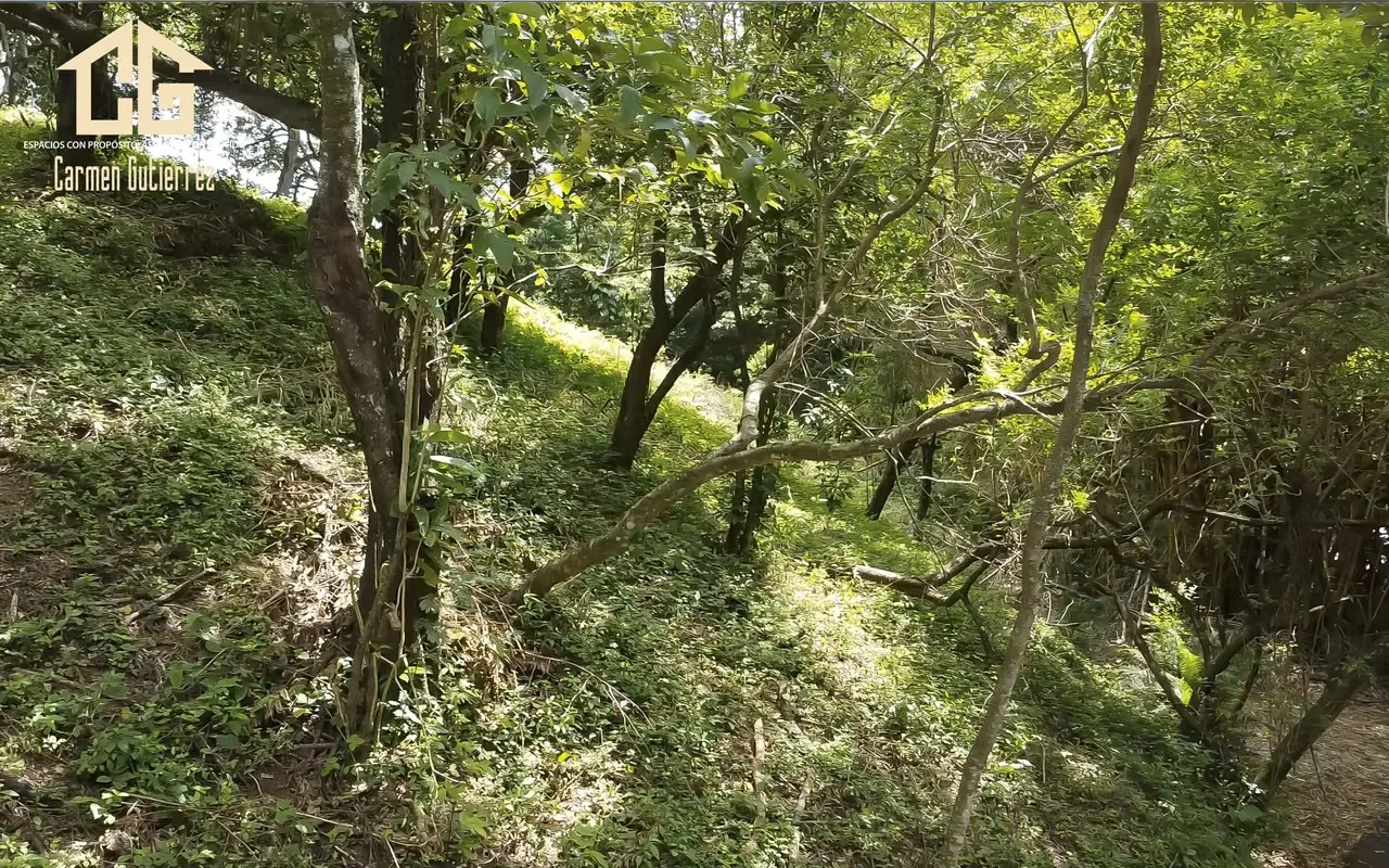 LAND FOR SALE IN TERRAZAS - CIUDAD COLON - BRASIL DE MORA