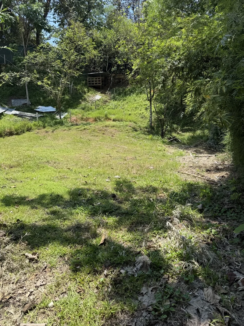 Easy Access Vacant Lot - Walk to Town!, photo 3
