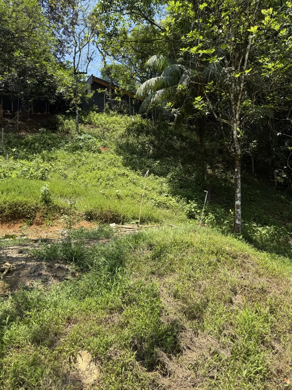 Easy Access Vacant Lot - Walk to Town!, photo 4