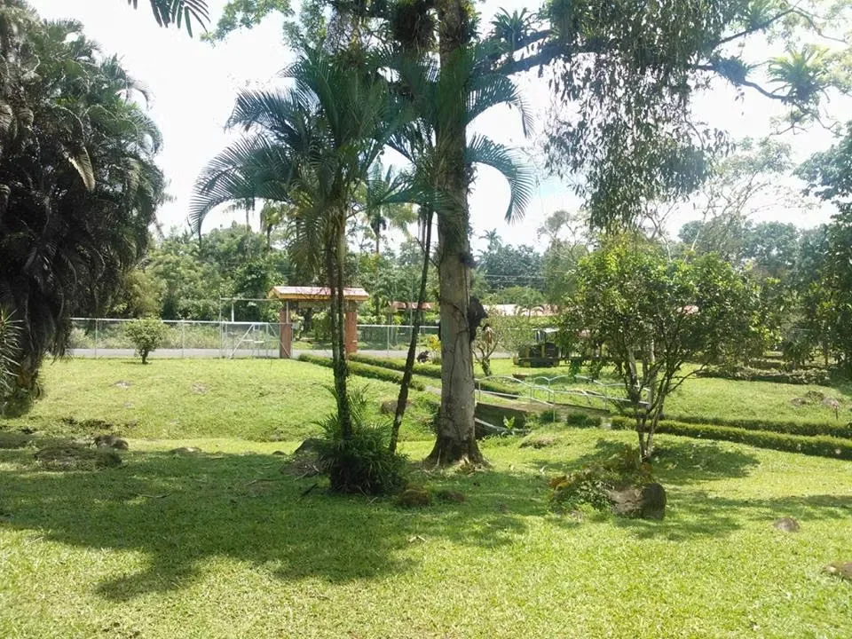 For sale: a beautiful and comfortable country estate, including a house and two lots totaling 6,737 m².