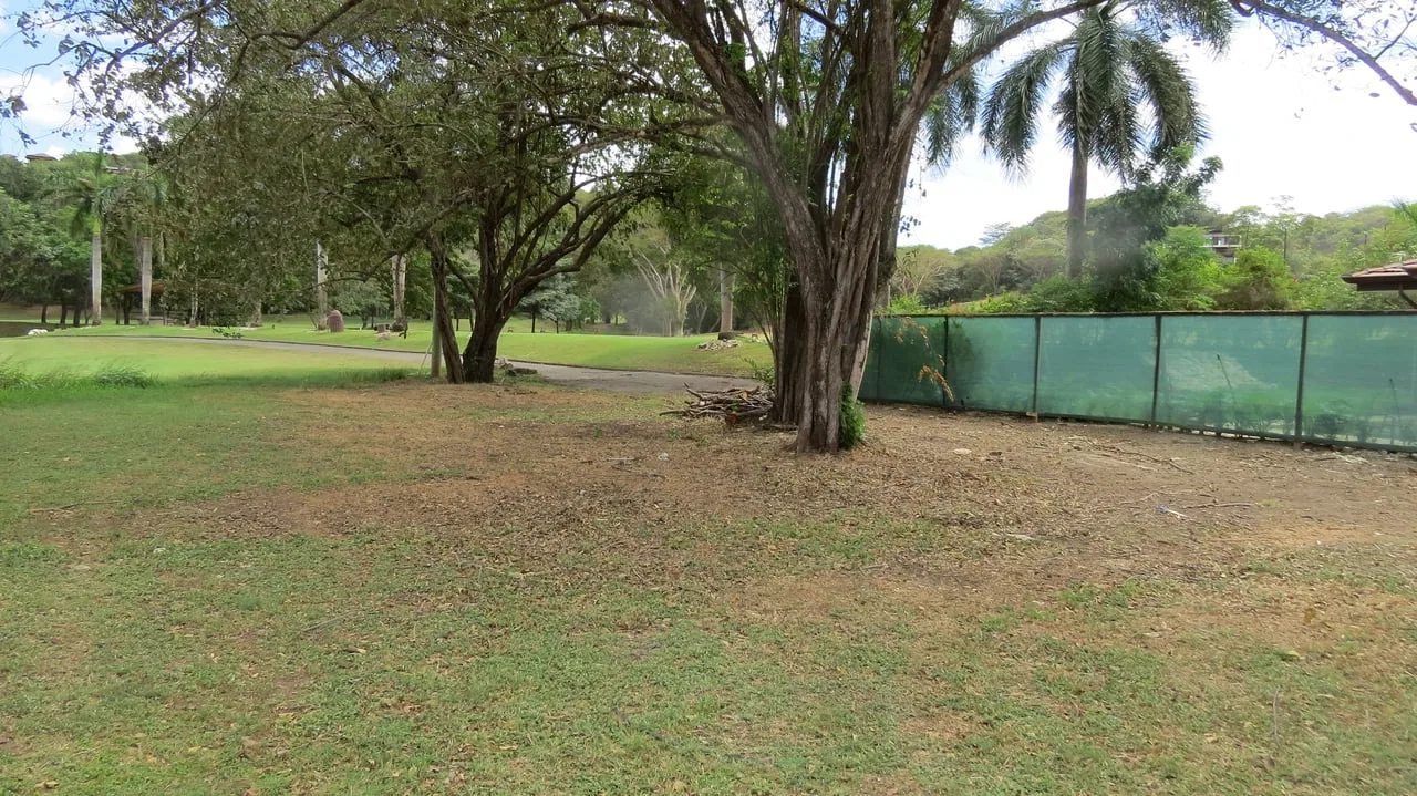 Llama del Bosque #32 Golf Front Lot, photo 12