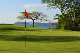 Llama del Bosque #32 Golf Front Lot, photo 13
