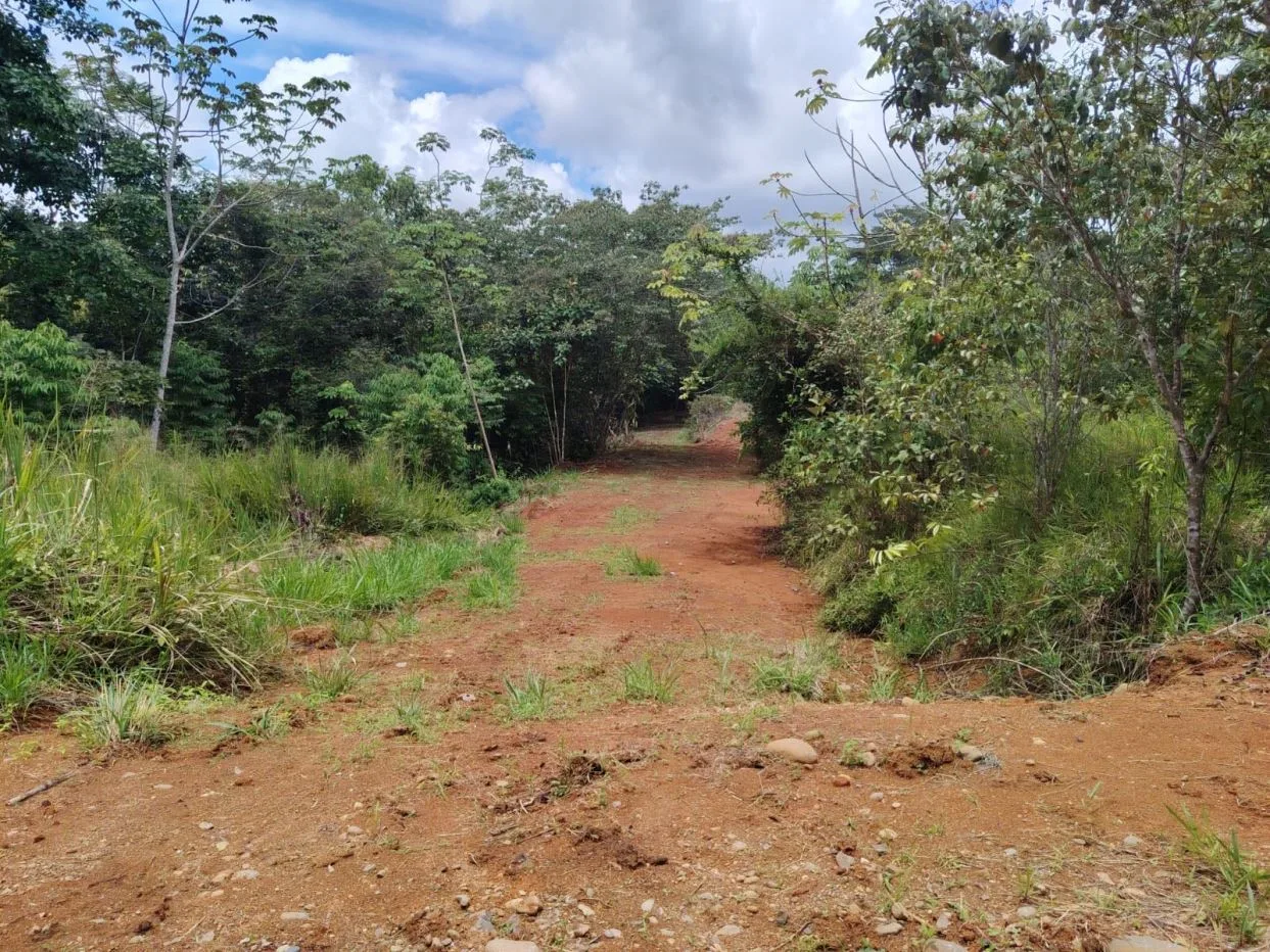 For Sale: 1000 m² lot perfect for residential development, photo 6
