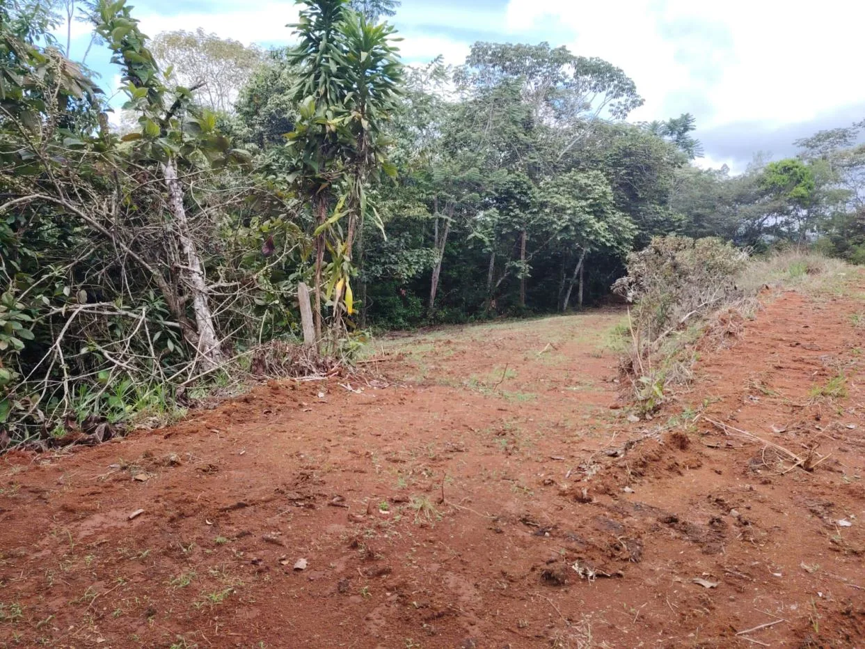 For Sale: 1000 m² lot perfect for residential development, photo 7