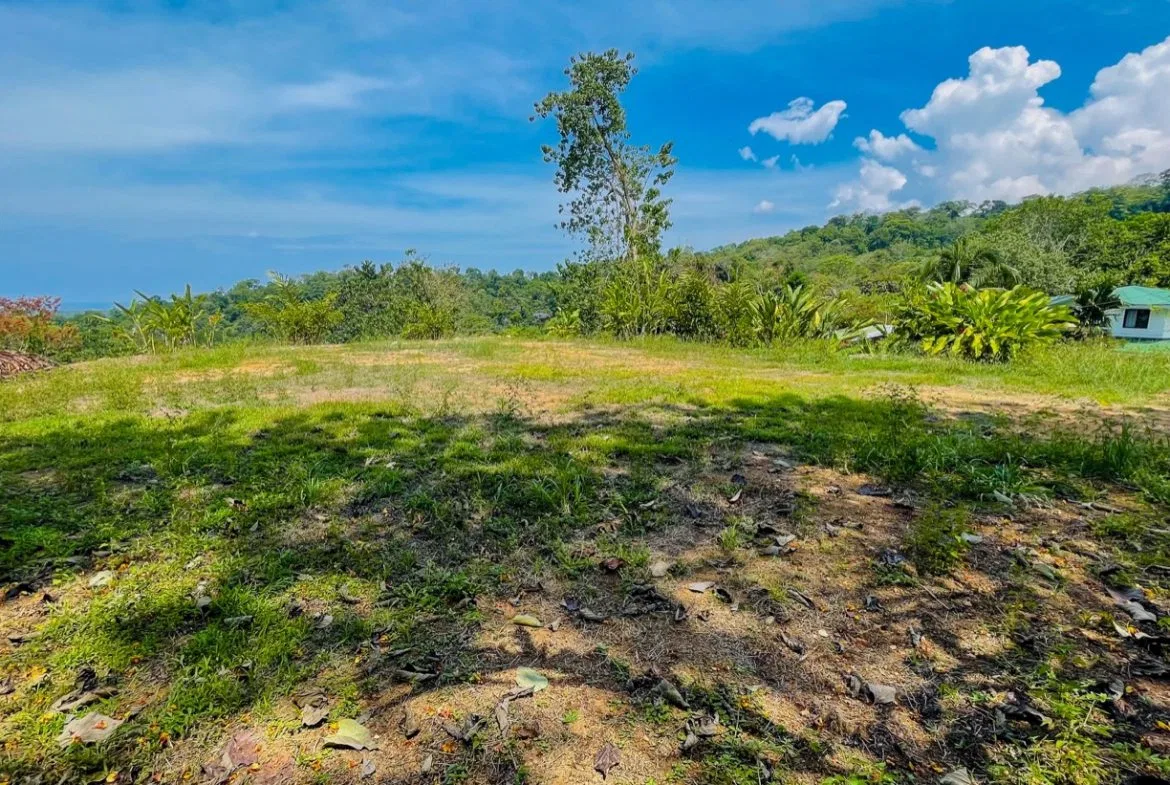 OCEAN VIEW LOT WITH EXTRA BUILDING PLANTEL, photo 12