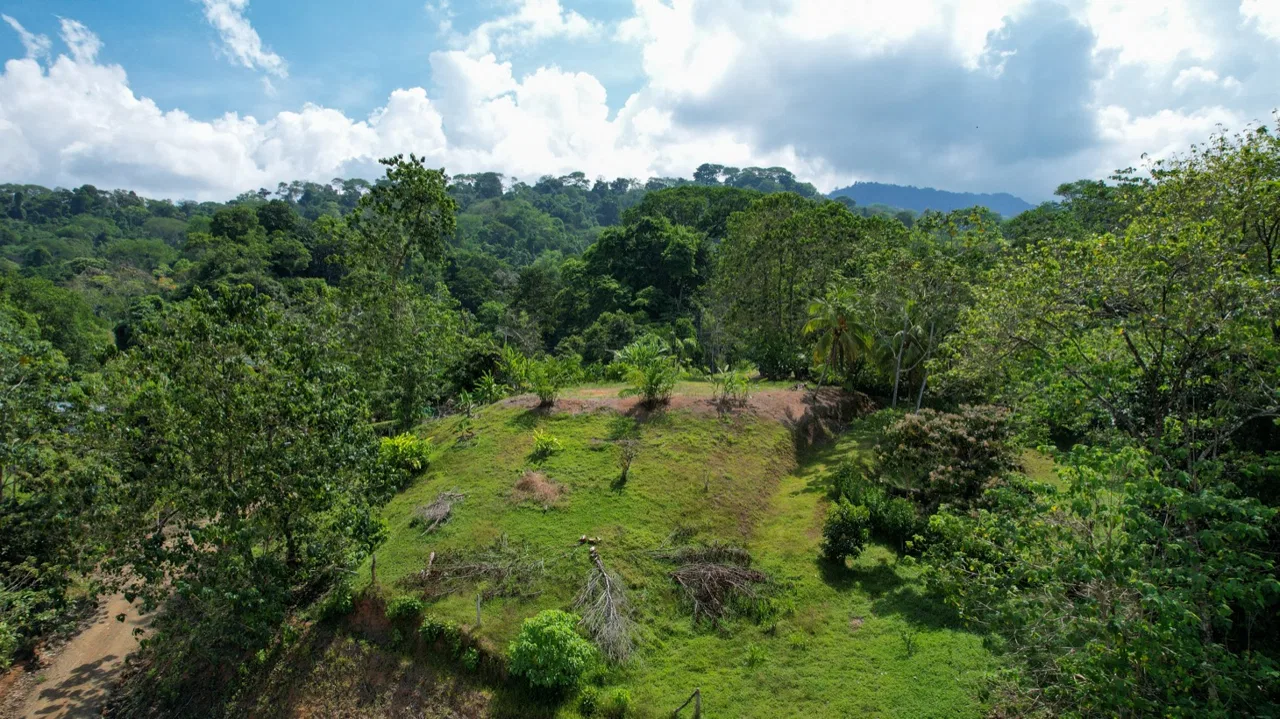 OCEAN VIEW LOT WITH EXTRA BUILDING PLANTEL, photo 15