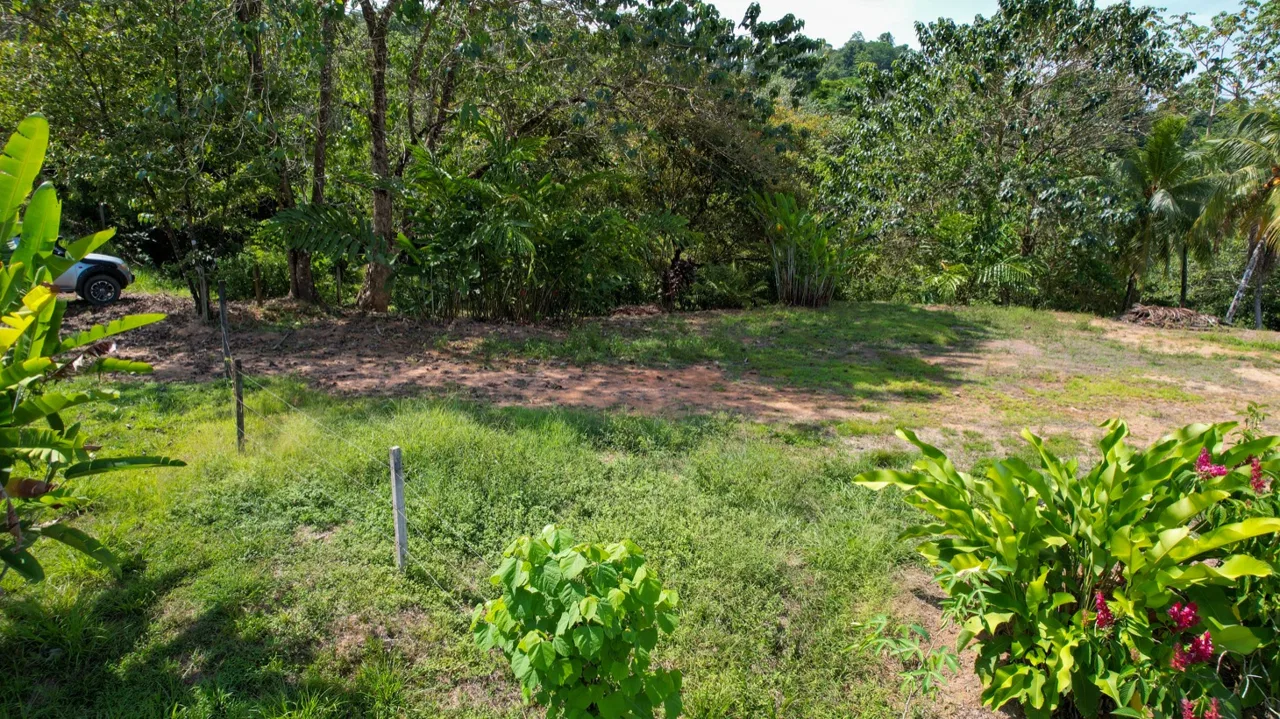OCEAN VIEW LOT WITH EXTRA BUILDING PLANTEL, photo 19