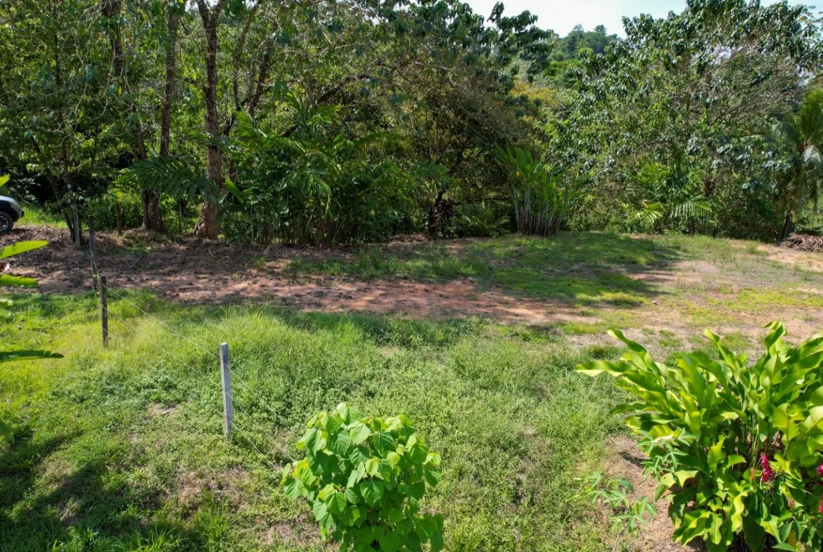 OCEAN VIEW LOT WITH EXTRA BUILDING PLANTEL, photo 20