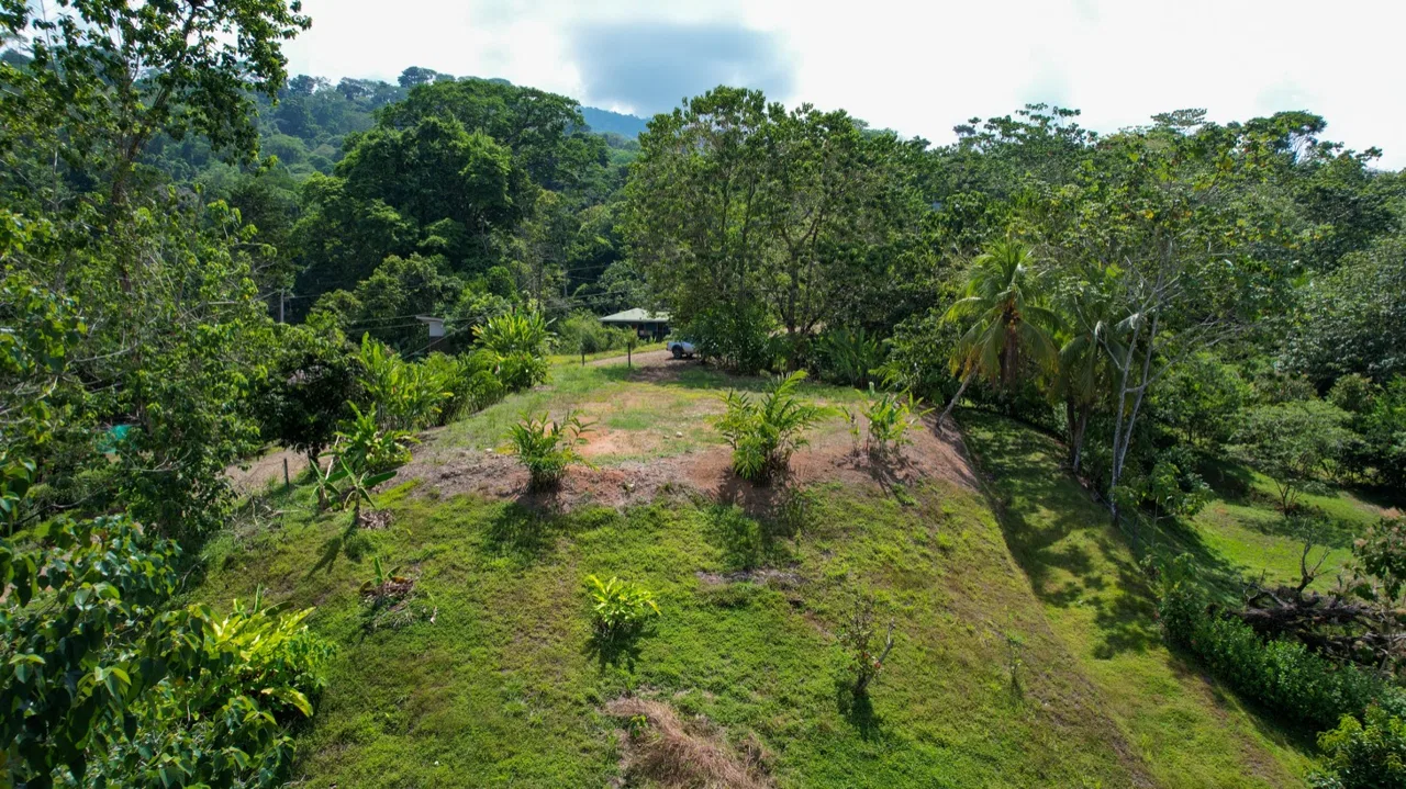 OCEAN VIEW LOT WITH EXTRA BUILDING PLANTEL, photo 23
