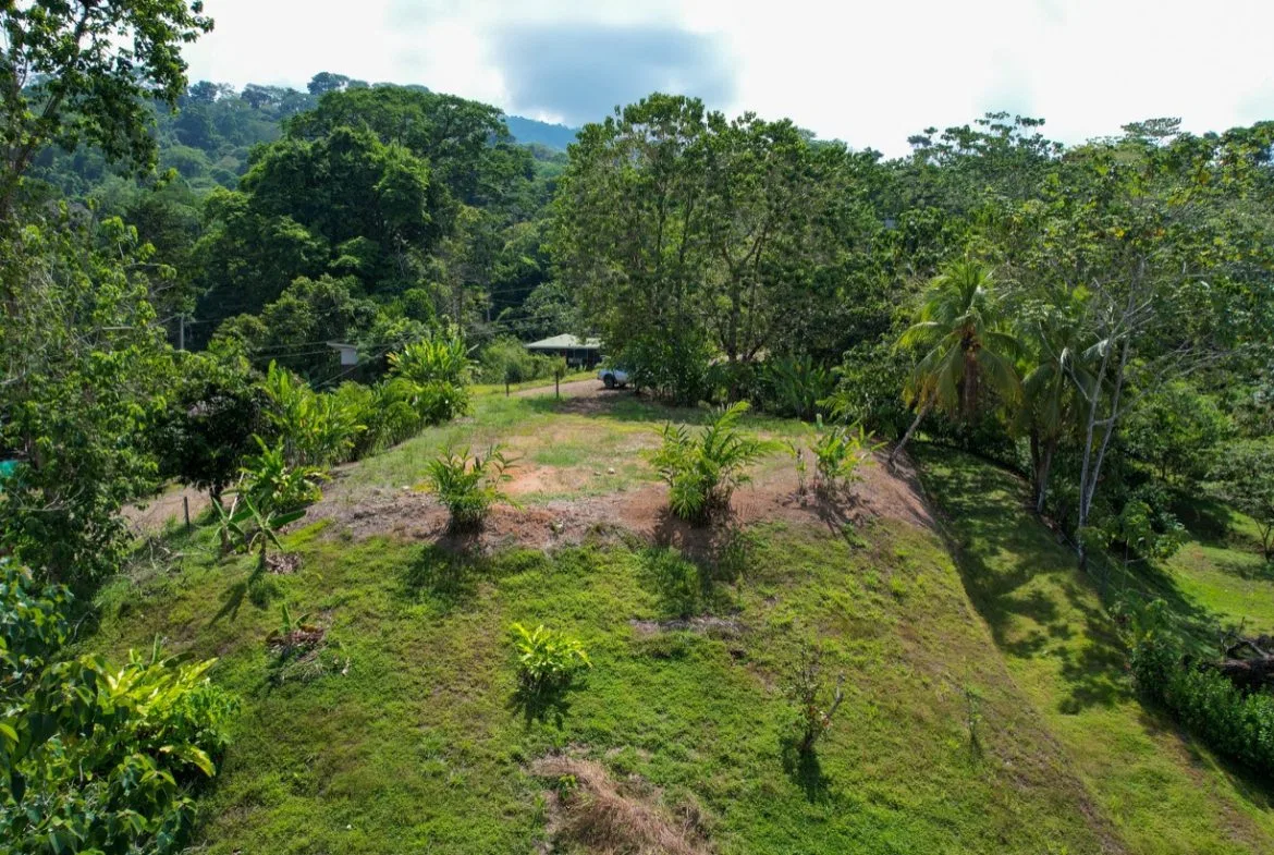 OCEAN VIEW LOT WITH EXTRA BUILDING PLANTEL, photo 24