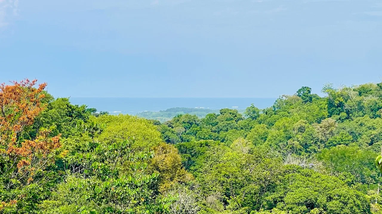 OCEAN VIEW LOT WITH EXTRA BUILDING PLANTEL, photo 5