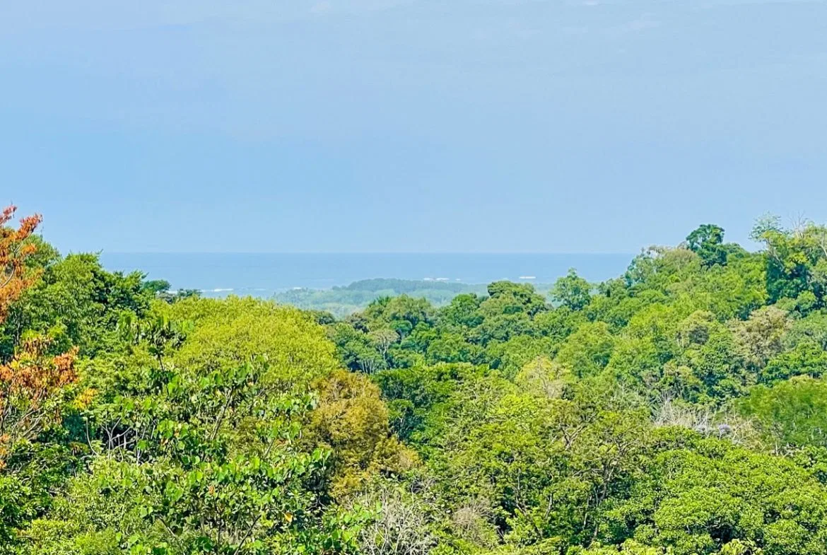 OCEAN VIEW LOT WITH EXTRA BUILDING PLANTEL, photo 6