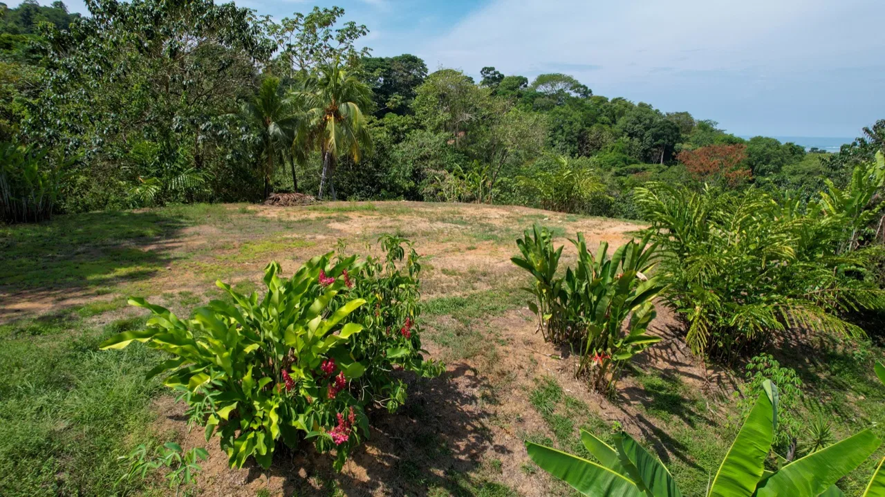 OCEAN VIEW LOT WITH EXTRA BUILDING PLANTEL, photo 9