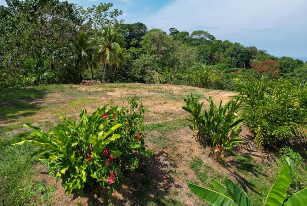 OCEAN VIEW LOT WITH EXTRA BUILDING PLANTEL, photo 10