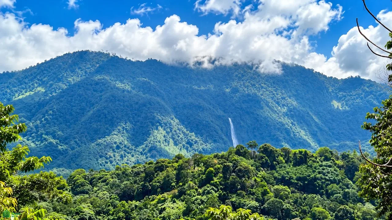 Pura Vida Falls, Nauyaca,, San Jose