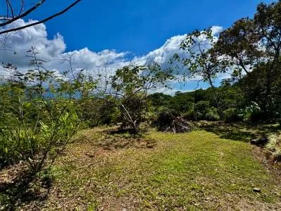 Nuevo lote de 1,4 acres en Platanillo – Con agua legal, photo 2