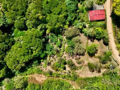 Nuevo lote de 1,4 acres en Platanillo – Con agua legal, photo 3