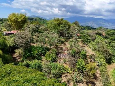 Nuevo lote de 1,4 acres en Platanillo – Con agua legal, photo 5