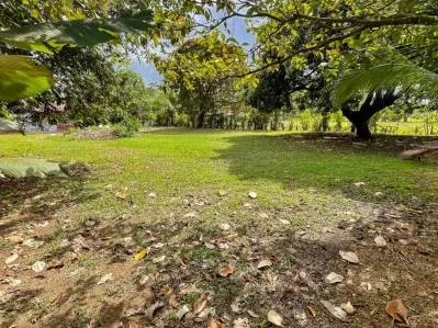 BUILDING PROPERTY A STEPS OF THE BEACH, IN BAHIA BALLENA – 0.30 ACRES, photo 19