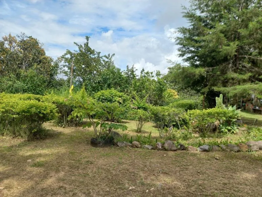 Oportunidad única! Se vende impresionante quinta, Santiago de Puriscal, San José. &amp;#127795;  - Venta en Puriscal