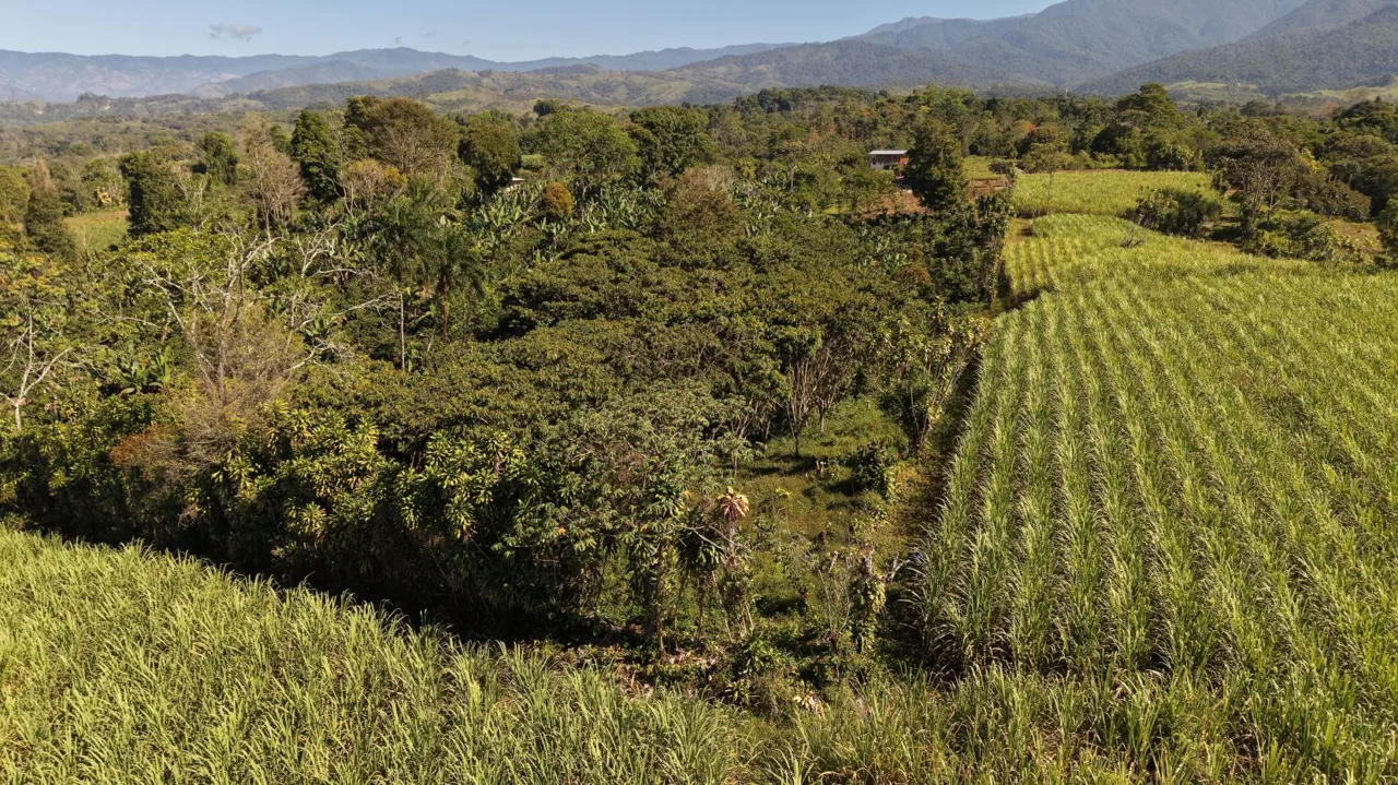 Beautiful Property For Sale In The Heart Of Santa Elena With High Development Potential, photo 7