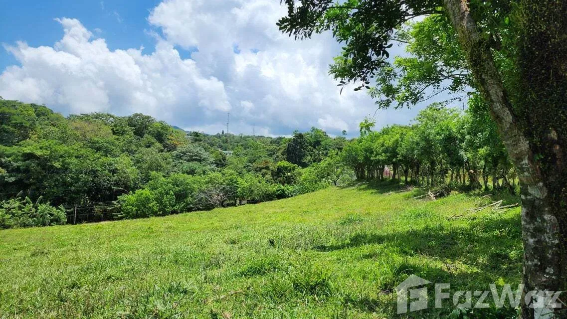 Land for Sale in Tilaran, Guanacaste for $517,492, photo 2