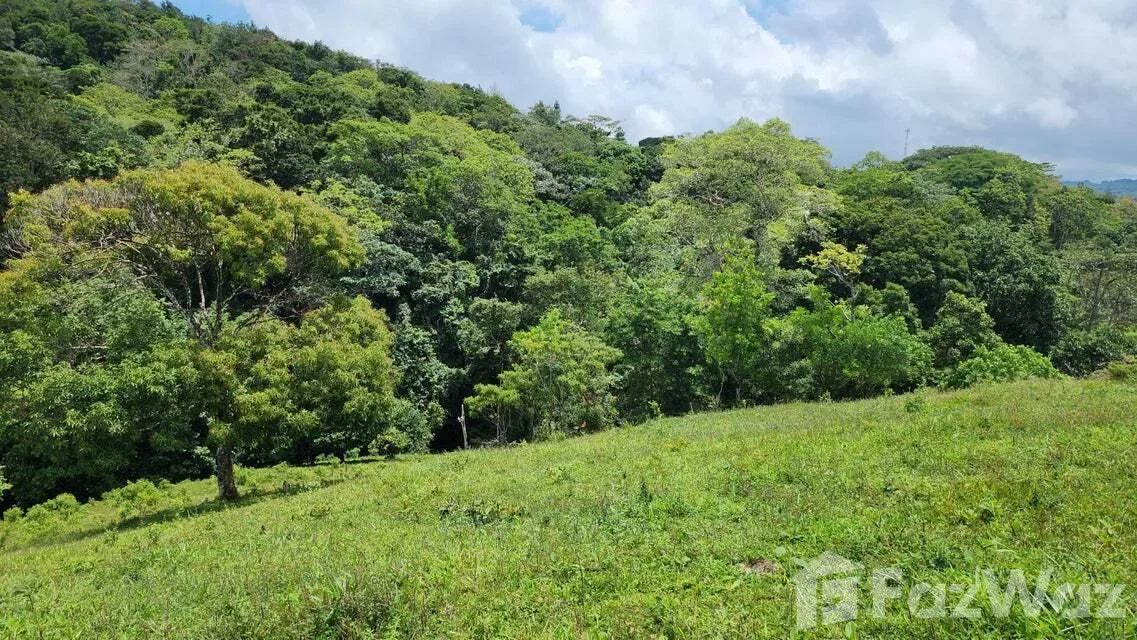 Land for Sale in Tilaran, Guanacaste for $517,492, photo 11